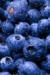 Blueberries